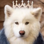 coconutricebear